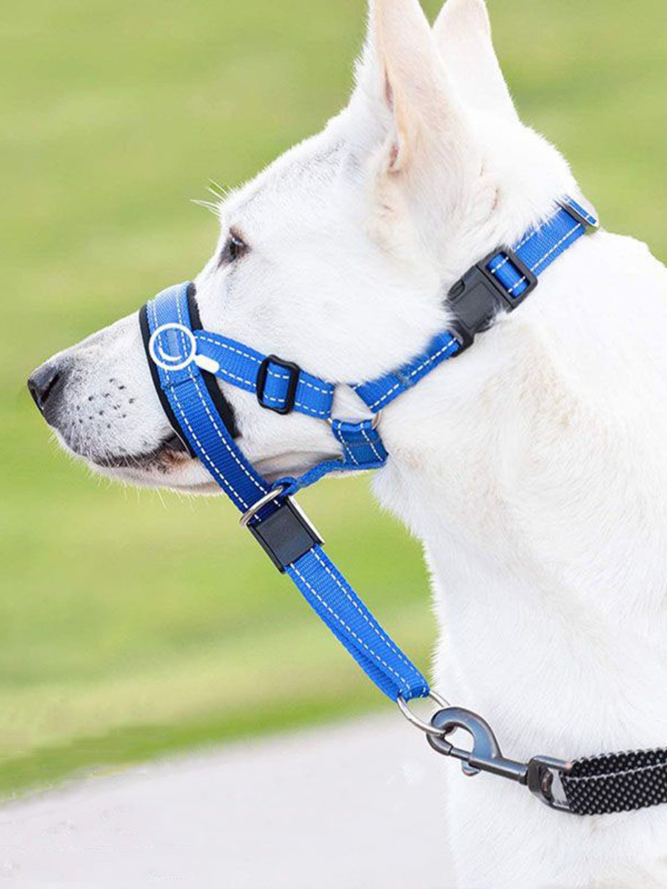 8671fc1de5ae43e1adb1be93120dbddf-Max