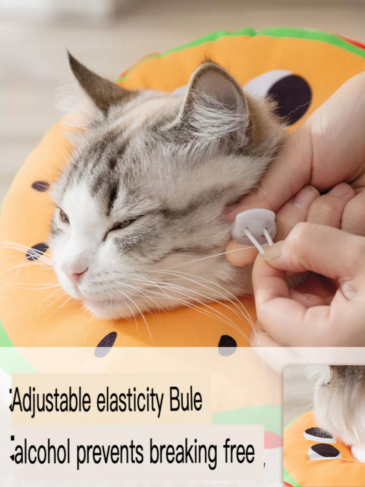 94ba9688-6ae0-47af-b53a-262ce961e893-Max-Origin