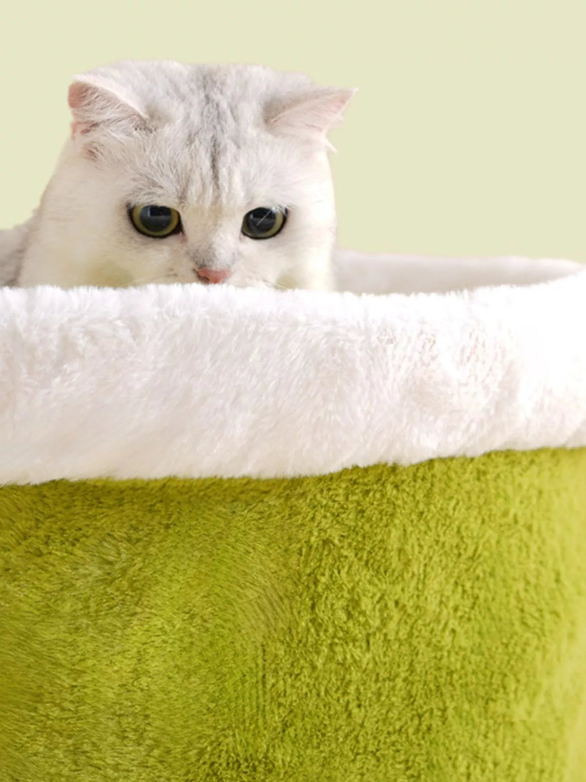 9890d9a2-d0b3-4a7b-bc4f-b4f158e47a12-Max-Origin