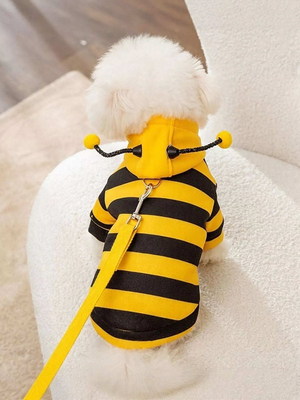 9967a6d1-0aca-4f6a-8200-a0b396be728d-Max-Origin