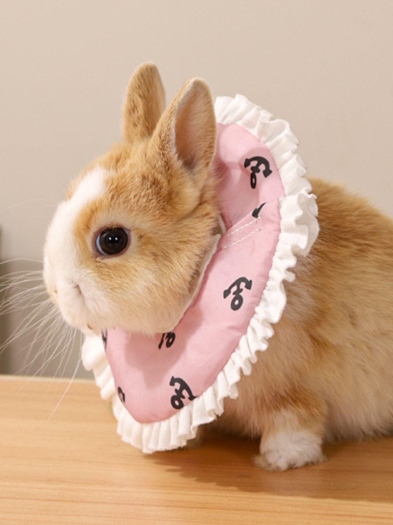 a90ea896-cab3-4d06-8cf3-0036c82d96b9-Max