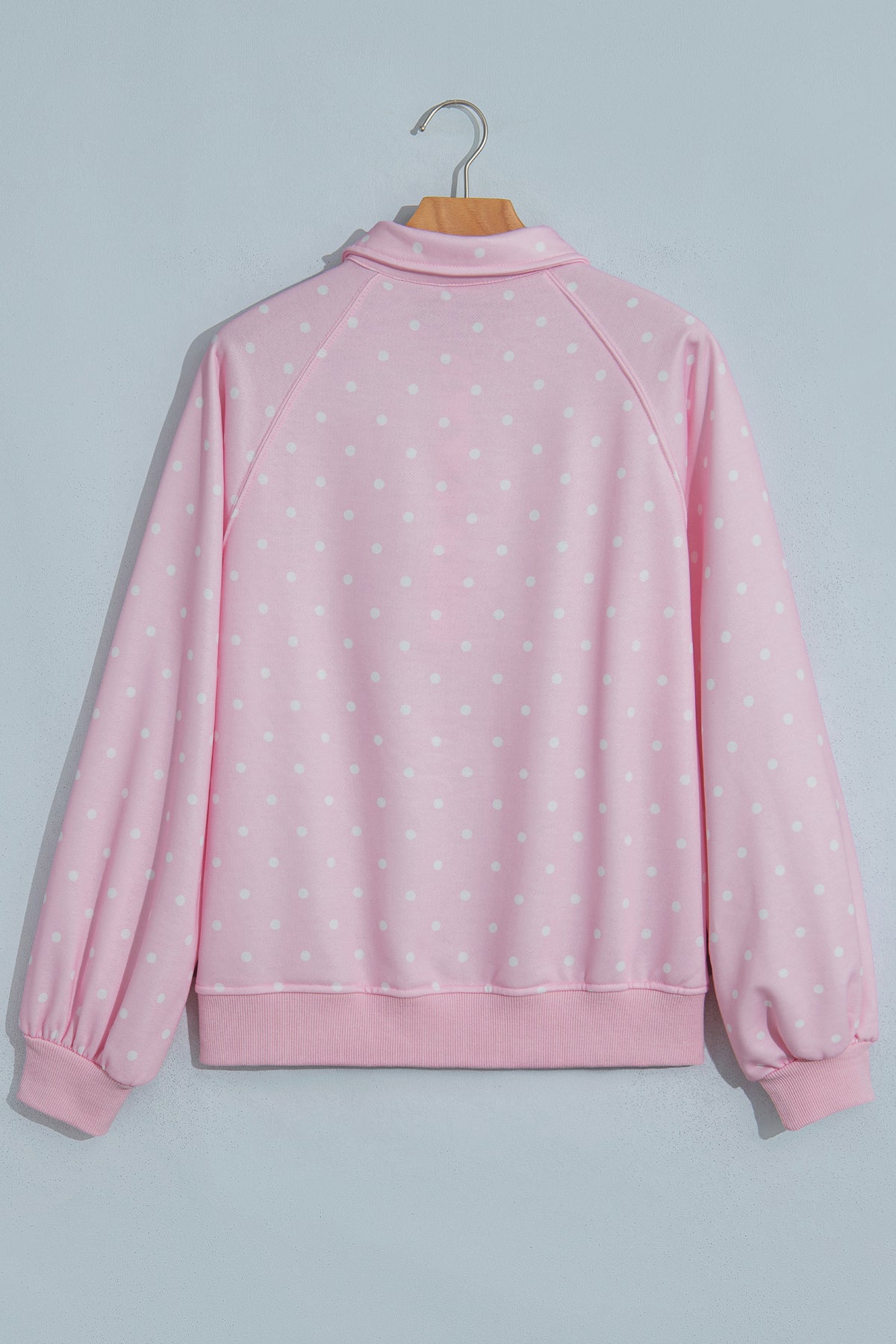 Blue Polka Dot Print Metal Button Collar Casual Pullover Sweatshirt