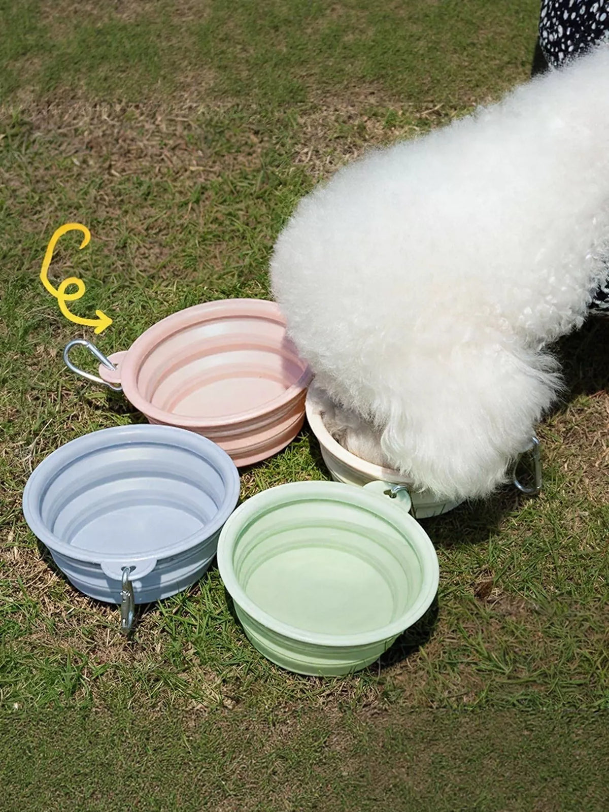 a3160087-9f4f-445a-914f-93df88f45f96-Max-Origin