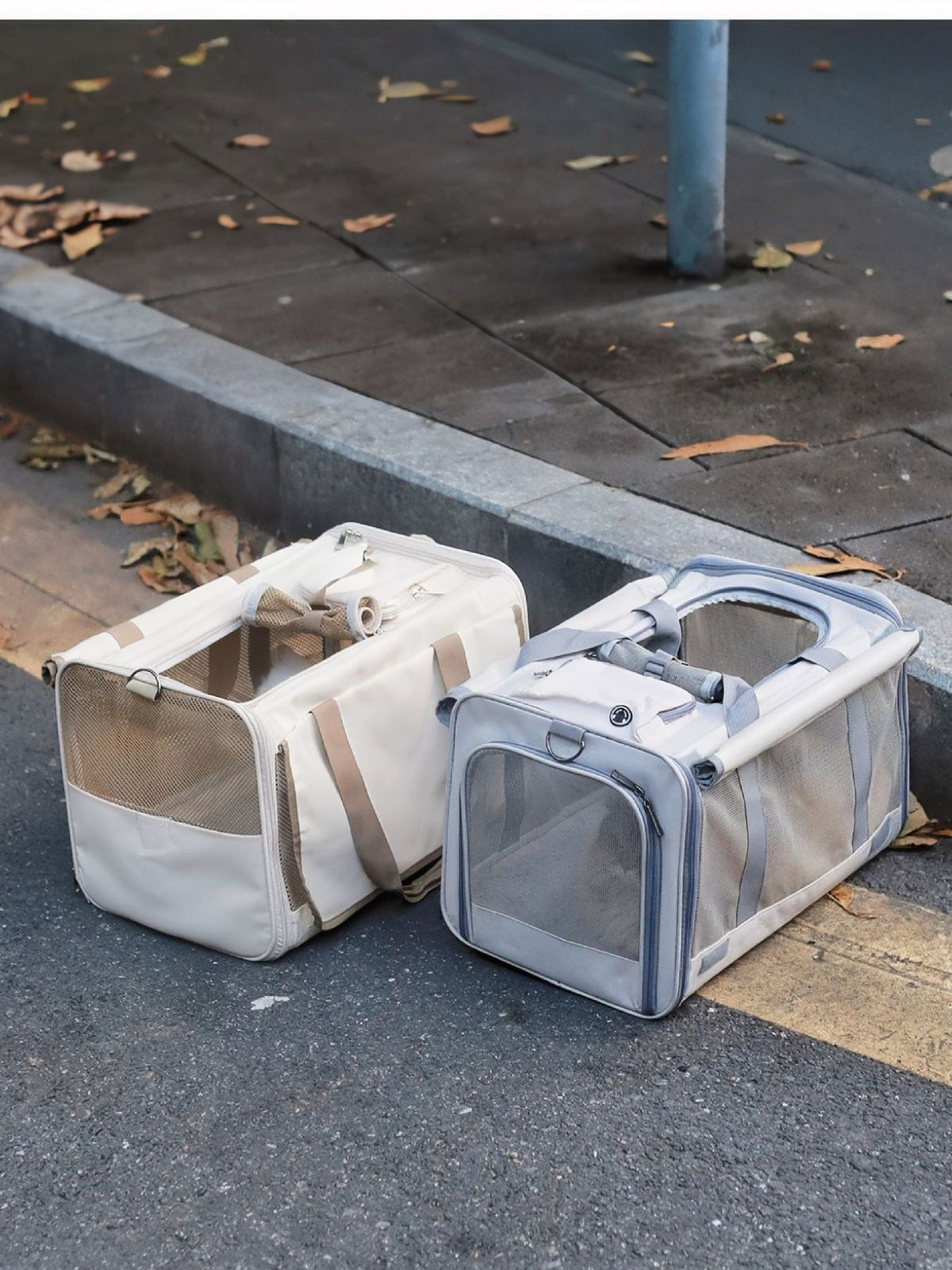 a419540c-99d0-4530-b5b7-ef5a72951dc5-Max