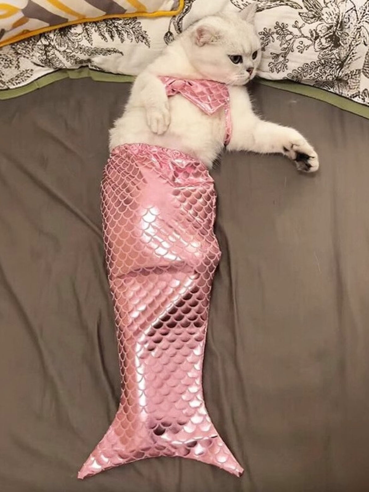 ad7a1d07393448c49ee872c05294af04-Max