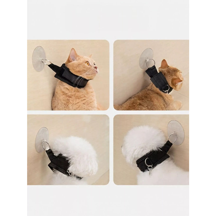 Adjustable Breakaway Cat Collar with Suction Cup Leash Apparel and Accessories