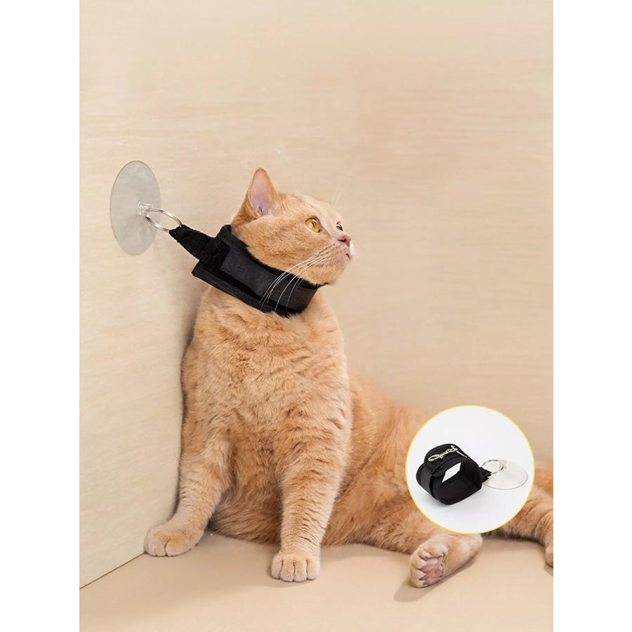 Adjustable Breakaway Cat Collar with Suction Cup Leash Black / ONESIZE Apparel and Accessories