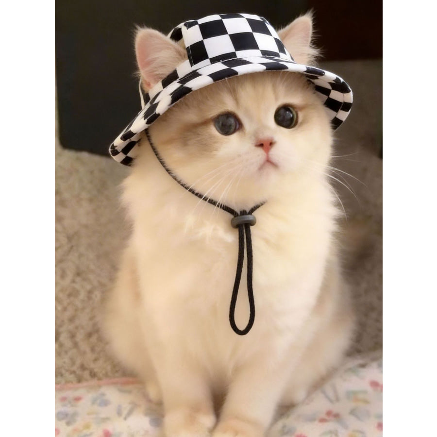Adjustable Chin Strap Pet Bucket Hat Black / S Apparel and Accessories
