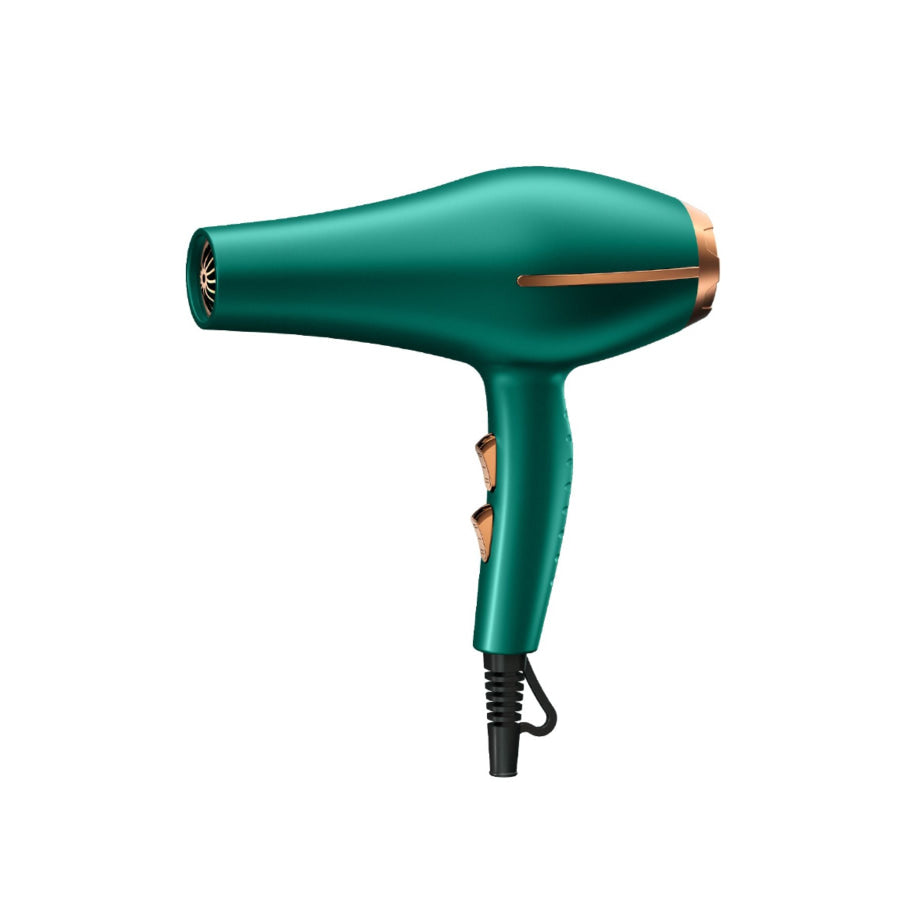 Adjustable Temperature Hair Dryer Apparel and Accessories