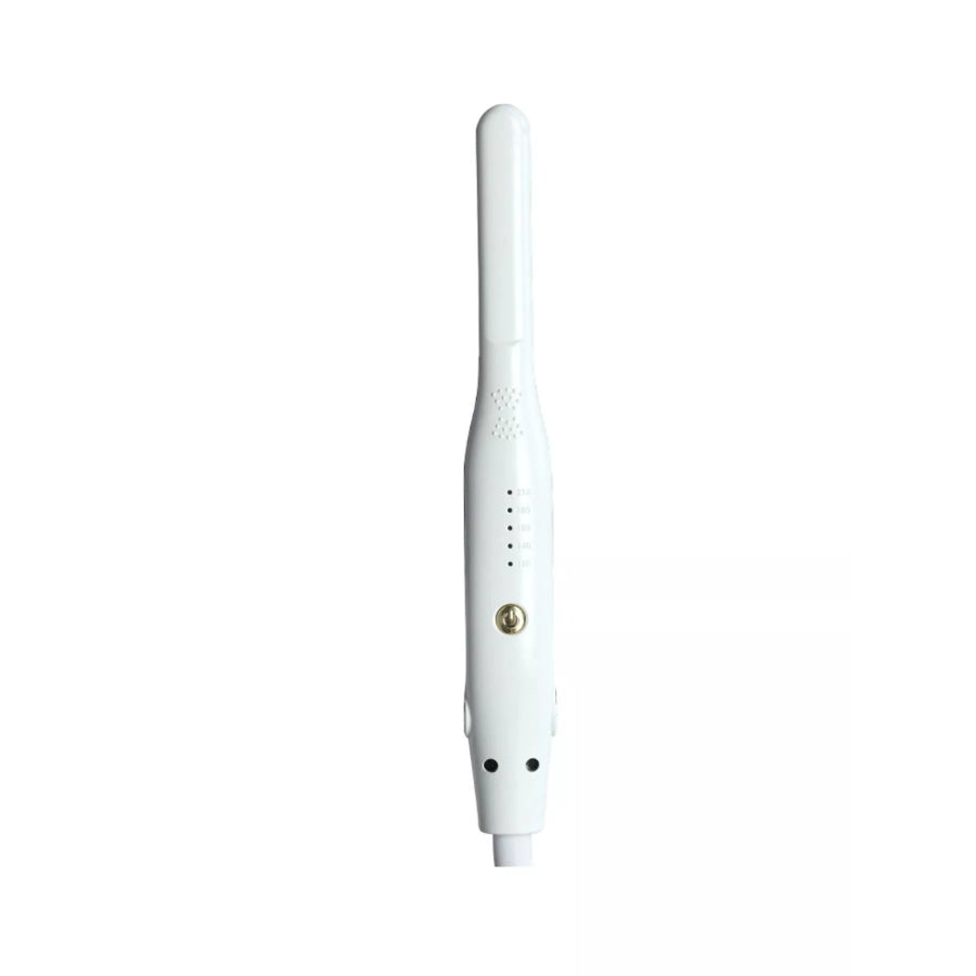 Adjustable Temperature Hair Straightener White / European plug Apparel and Accessories