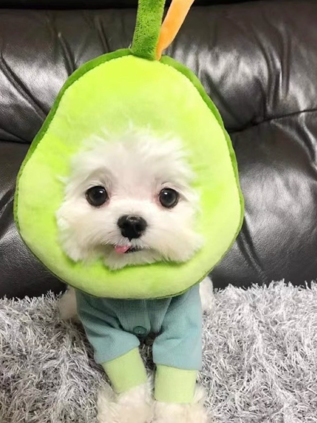 a4b3e223-2ea6-4a97-8e4b-20d4c7116337-Max