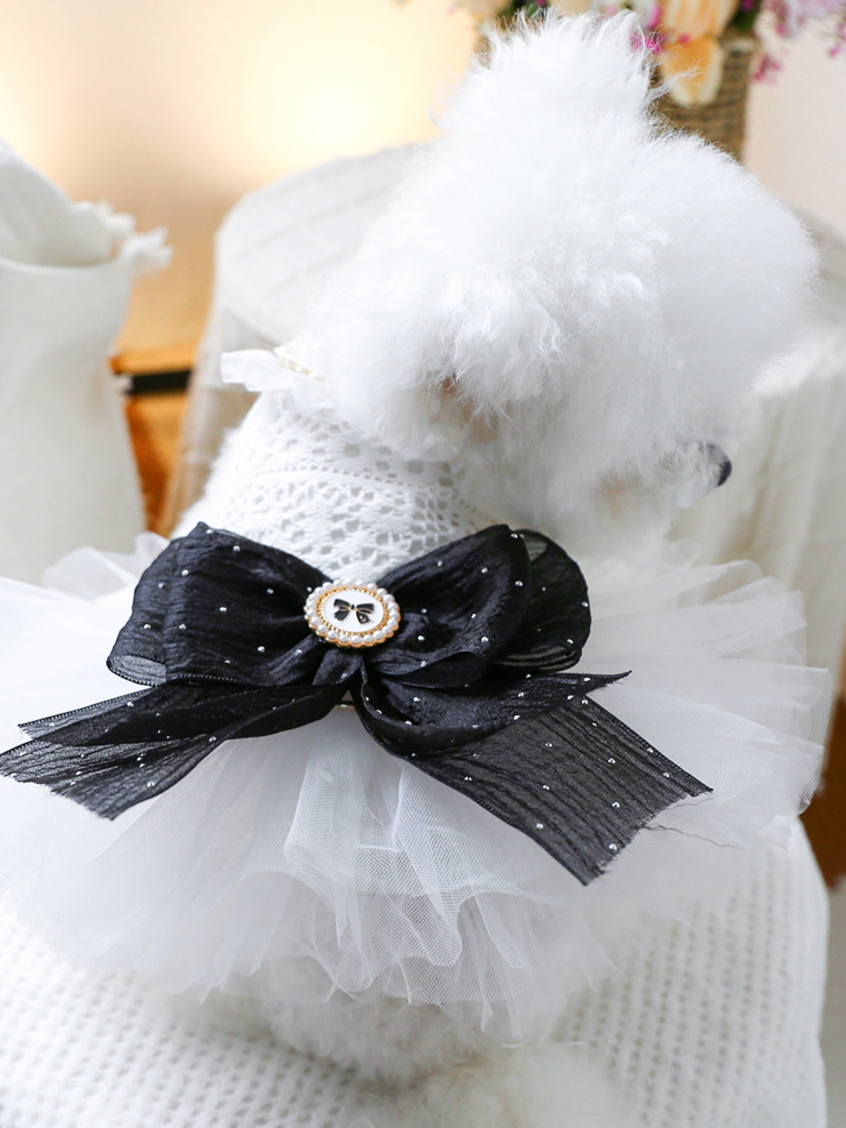 aefd9355-47cd-4016-adc7-5b819b46e17a-Max