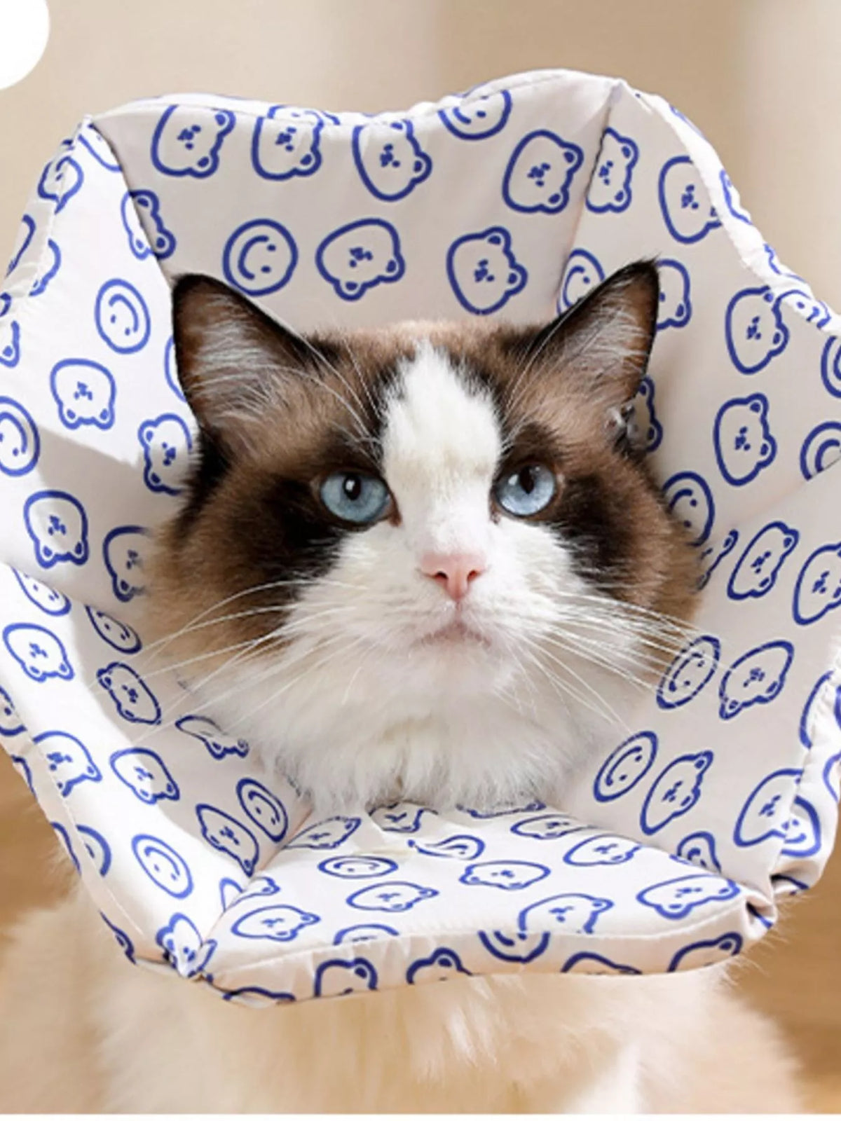 af095dd6-06da-47a6-83e4-bf1ab2c4fe3e-Max-Origin