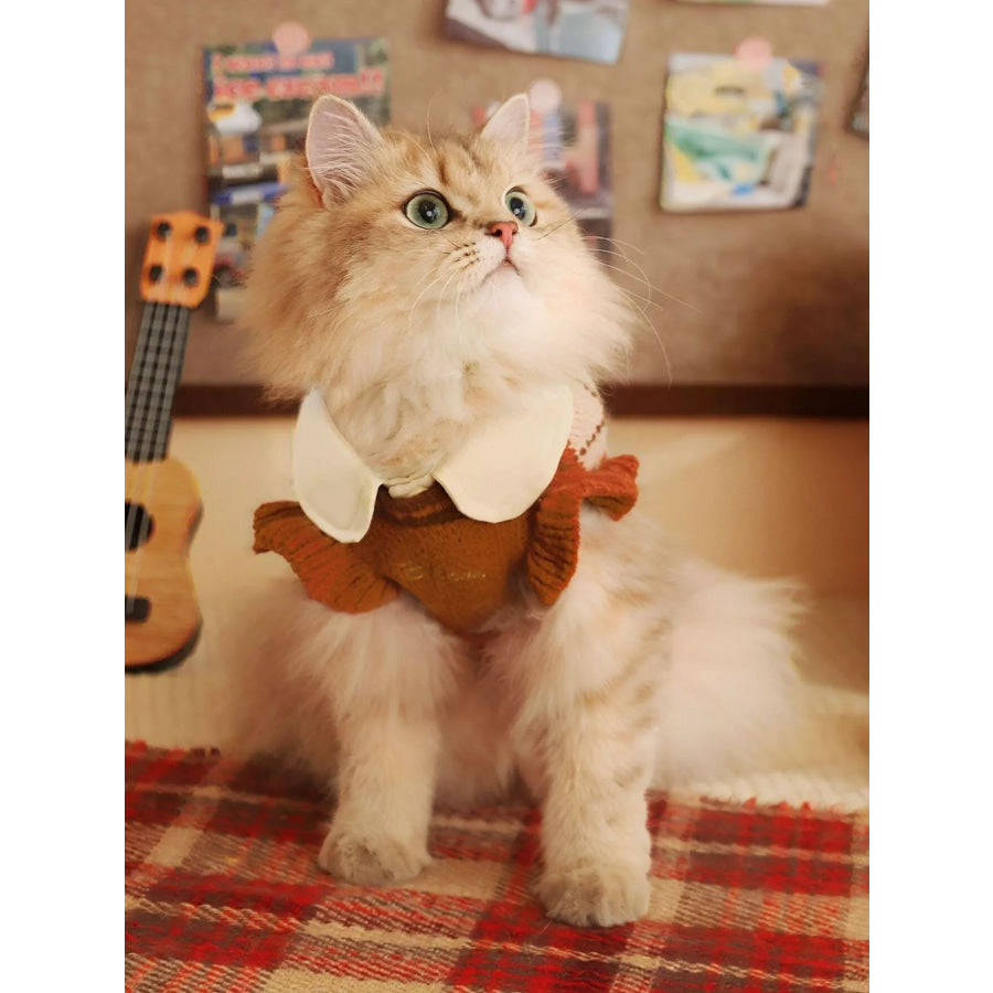 Argyle Pattern Pet Sweater Apparel and Accessories