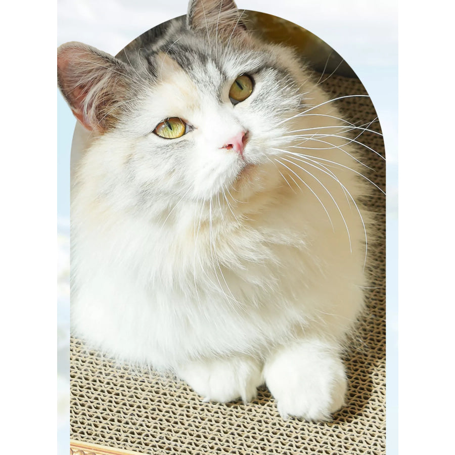 Artistic Frame Cat Scratcher Nest Flower / ONESIZE Apparel and Accessories