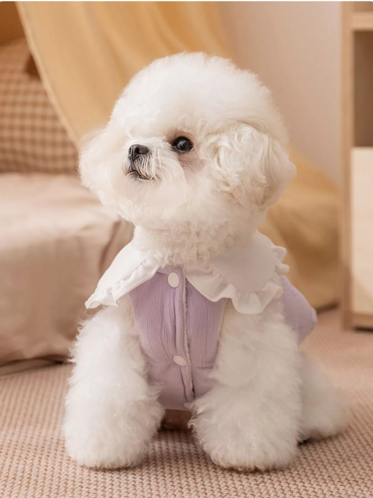 b323929c-e17b-444e-bf63-2b7ebc5def53-Max-Origin