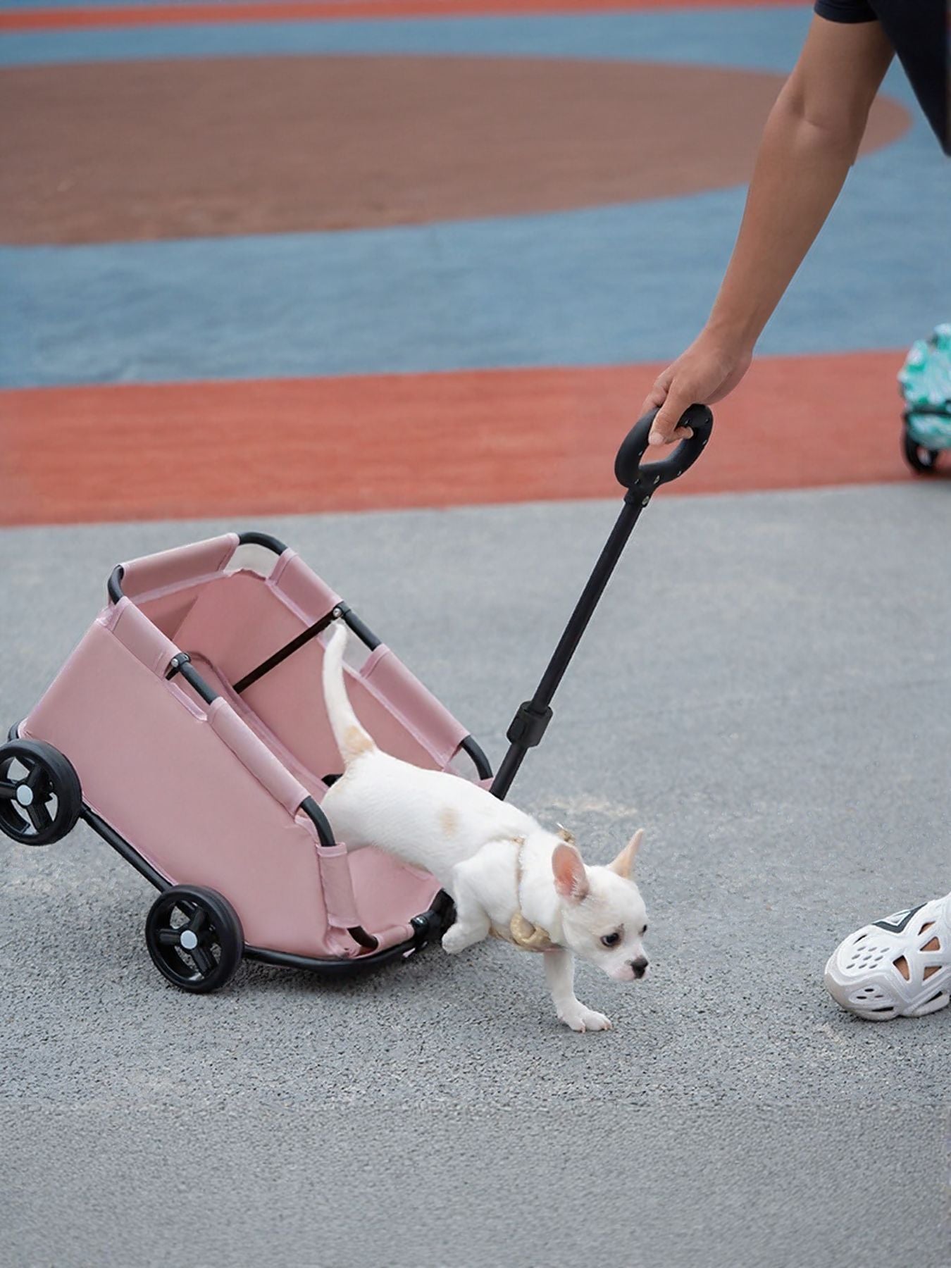 7fae76bd-45ea-45c2-86ca-cbba6659ba24-Max