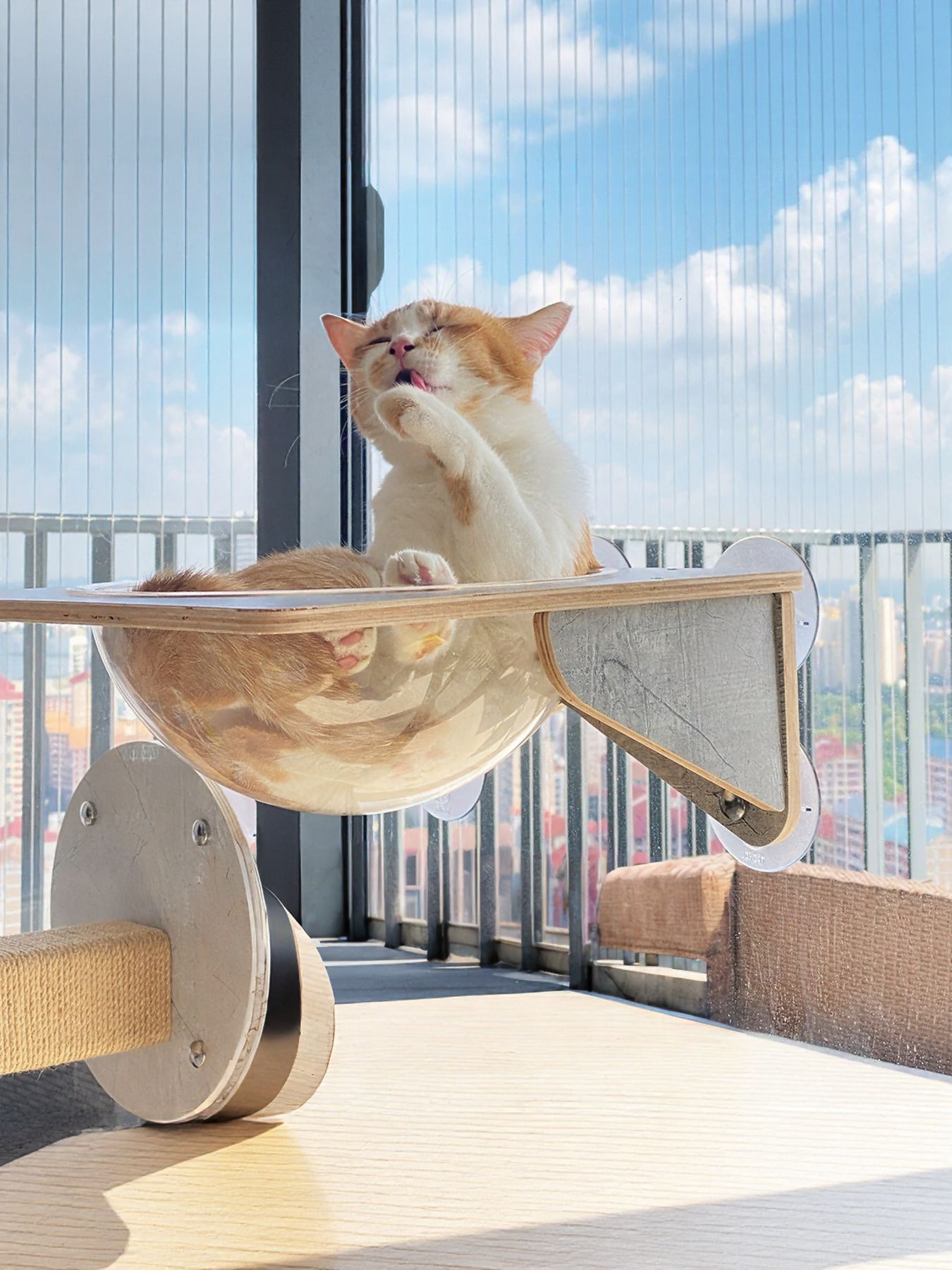 ea45a16a-c6f5-4678-b41a-1ed9928163e2-Max