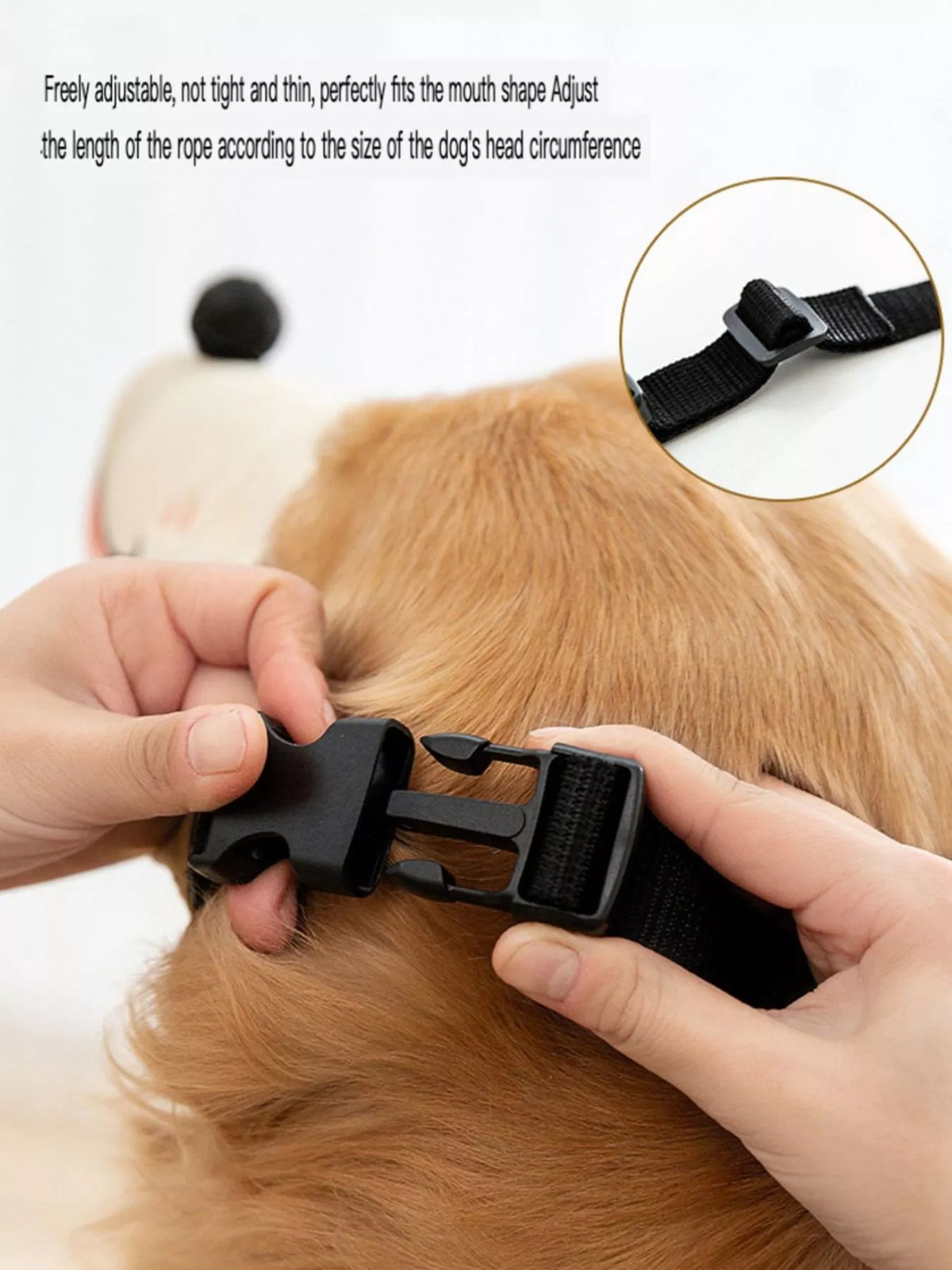 bb4c68a0-223e-4ce4-911b-63395907478b-Max-Origin