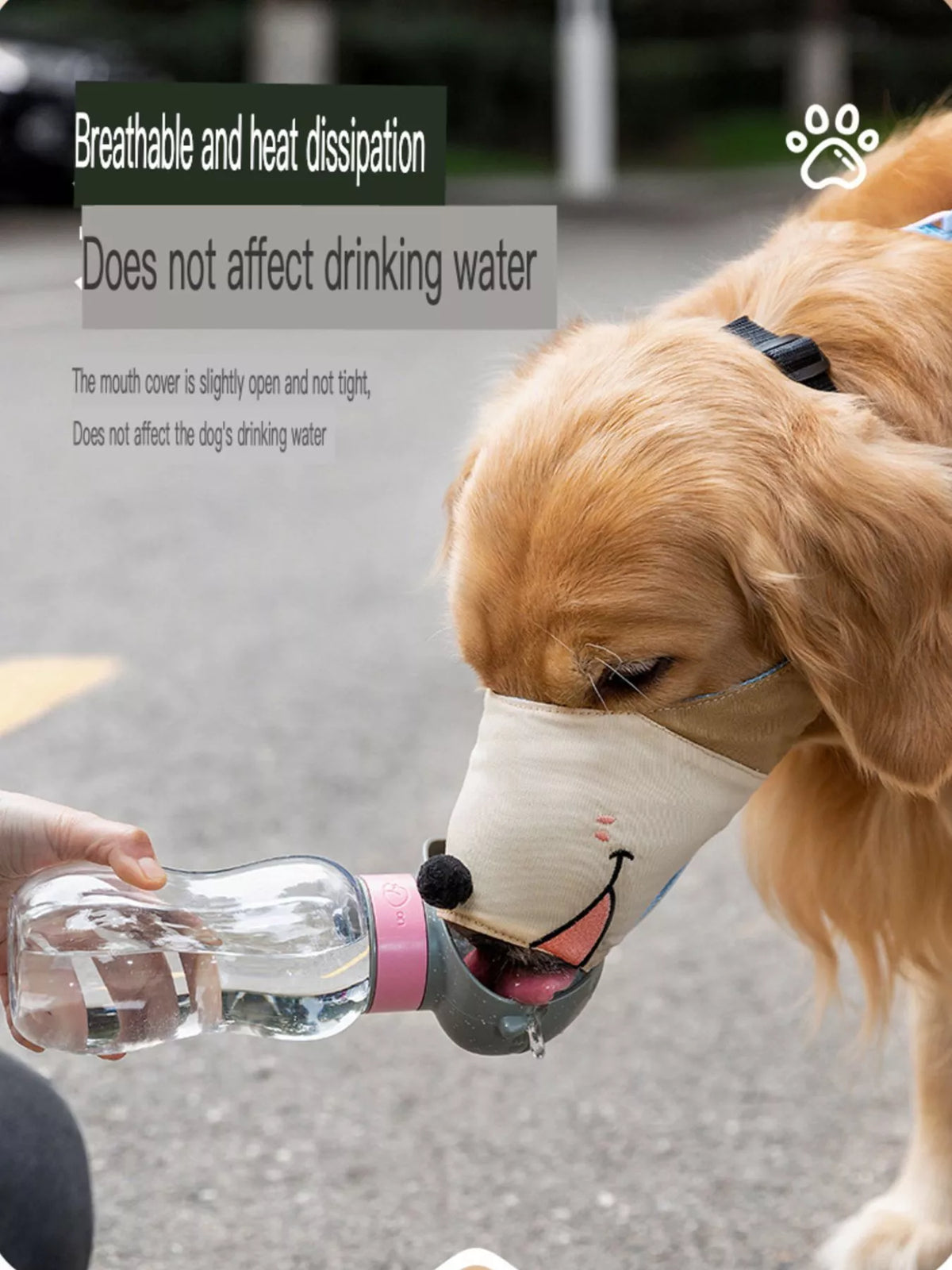 bc6678d4-a257-475d-ab3f-5bb8c71fe19c-Max-Origin