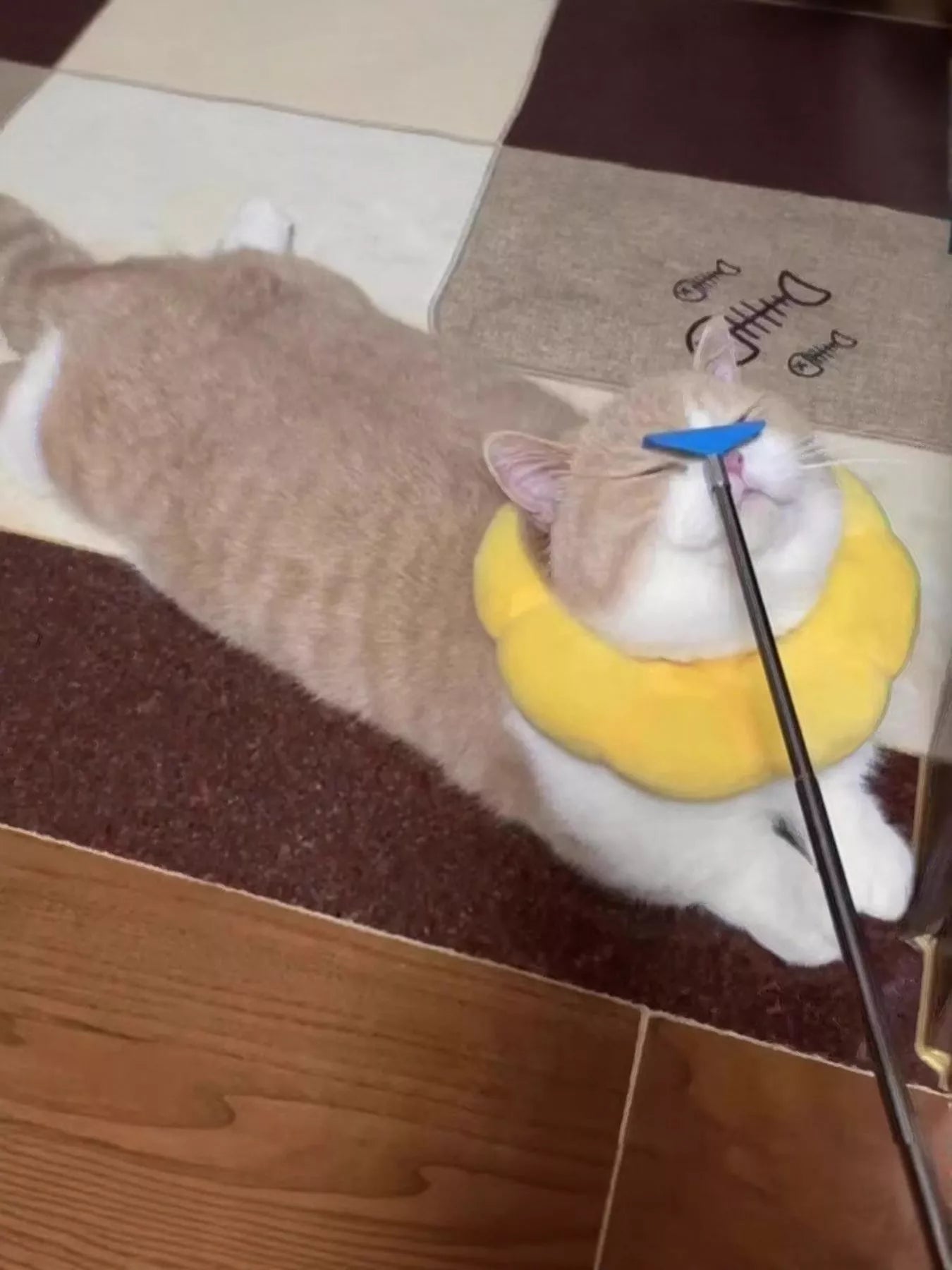 fdde7b92-c0e8-4b49-93a8-cb985b5c9ba8-Max-Origin