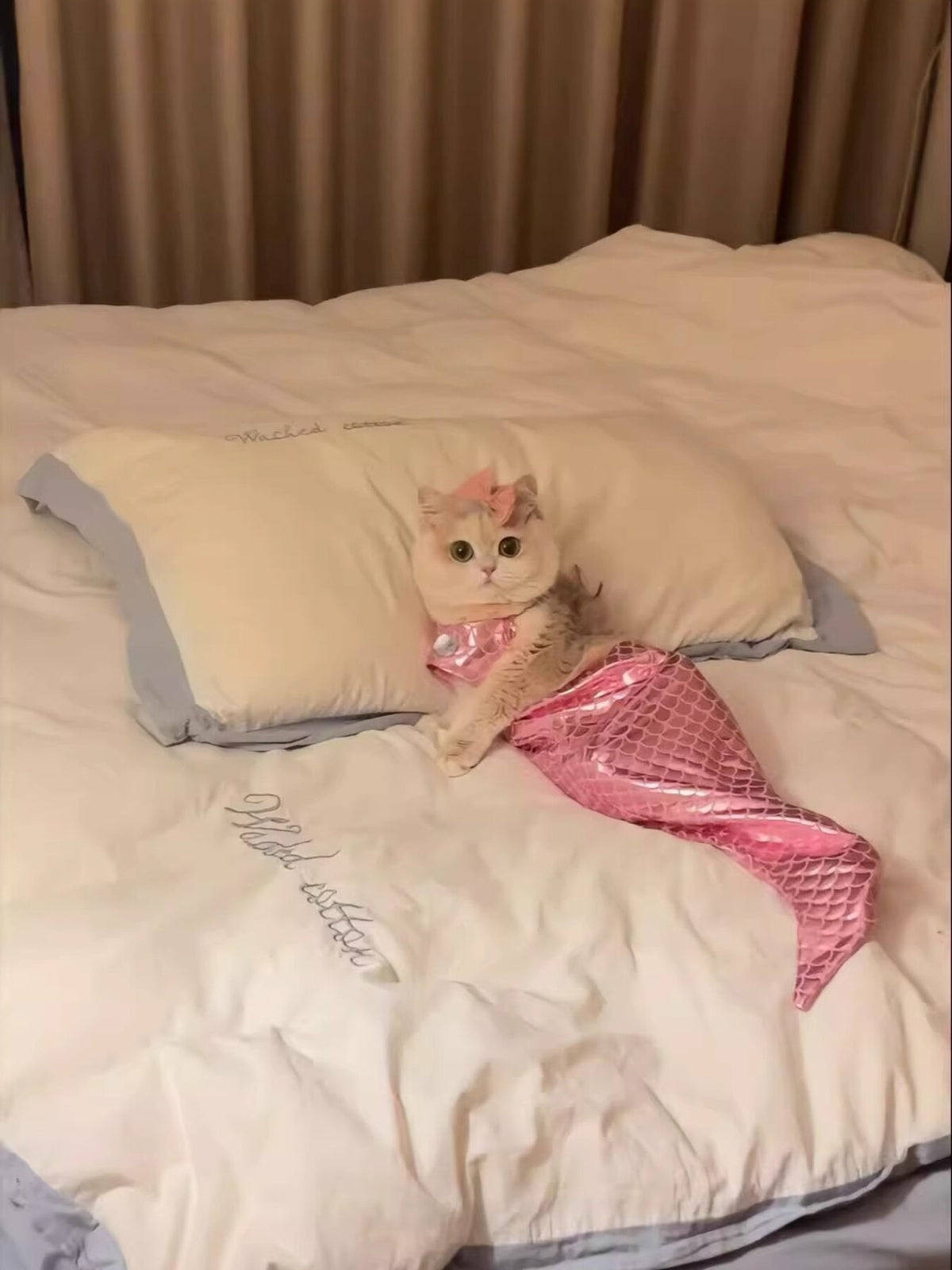 be85f710d3874d64979e43642df2c033-Max