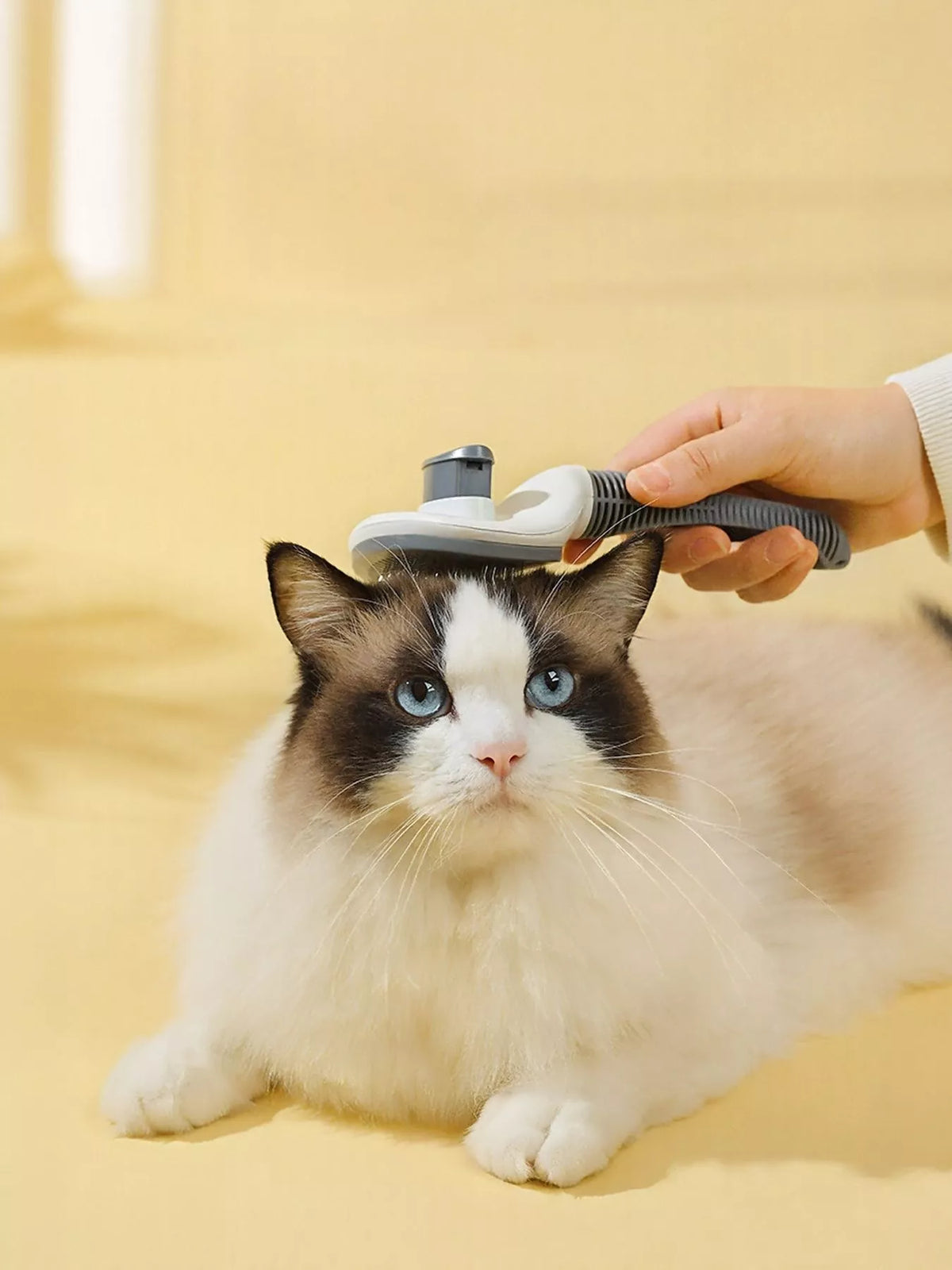 bf1fb252-b72b-4080-b73d-817286b81ca0-Max-Origin