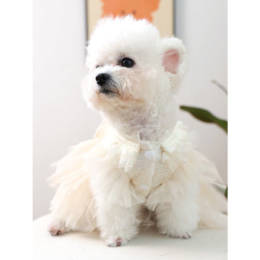 Bow Tulle Ruffle Pet Dress White / XS Apparel and Accessories