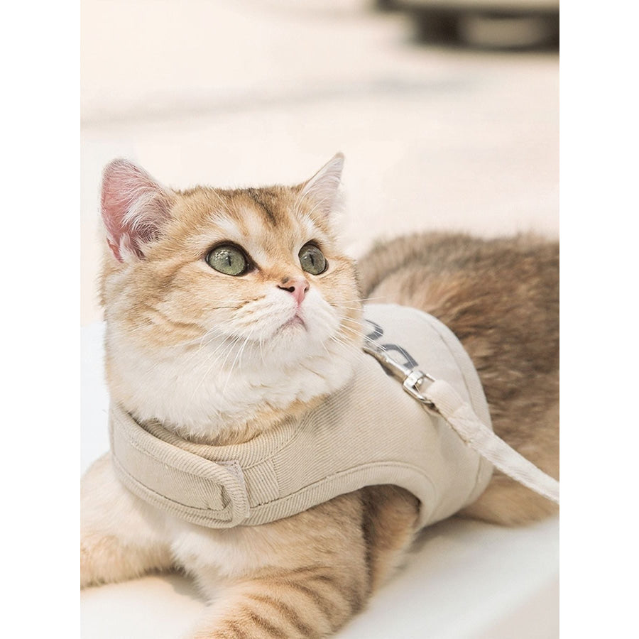 Breathable Pet Harness Leash Set Dust Storm / S Apparel and Accessories