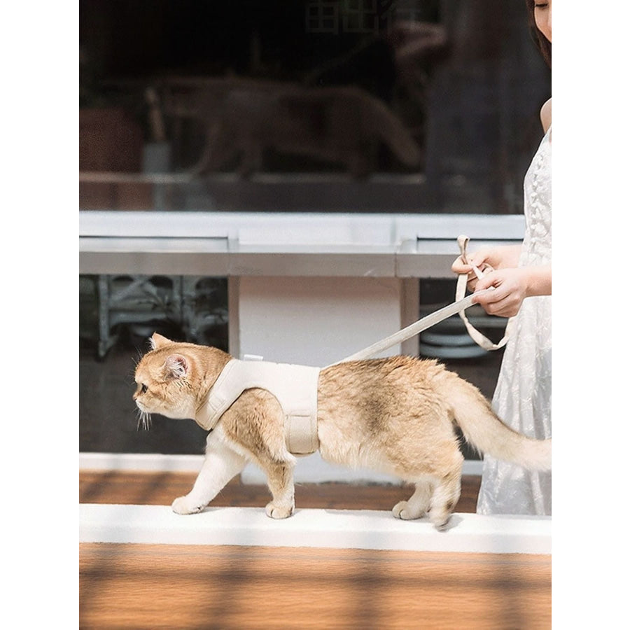 Breathable Pet Harness Leash Set Apparel and Accessories