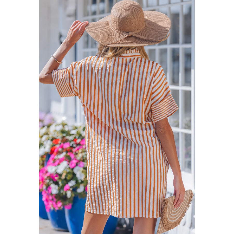 Brown Stripe Pinched V Neck Turn-up Cuffs Shift Mini Dress Dresses/Mini Dresses