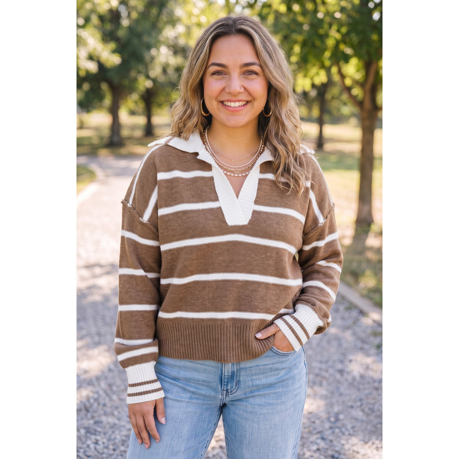 Brown Stripe Striped V Neck Long Sleeve Shift Plus Size Sweater Size/Plus Sweaters & Cardigans