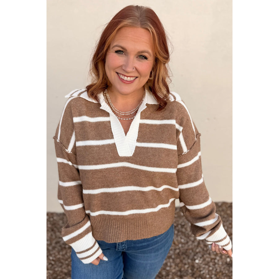 Brown Stripe Striped V Neck Long Sleeve Shift Plus Size Sweater Size/Plus Sweaters & Cardigans