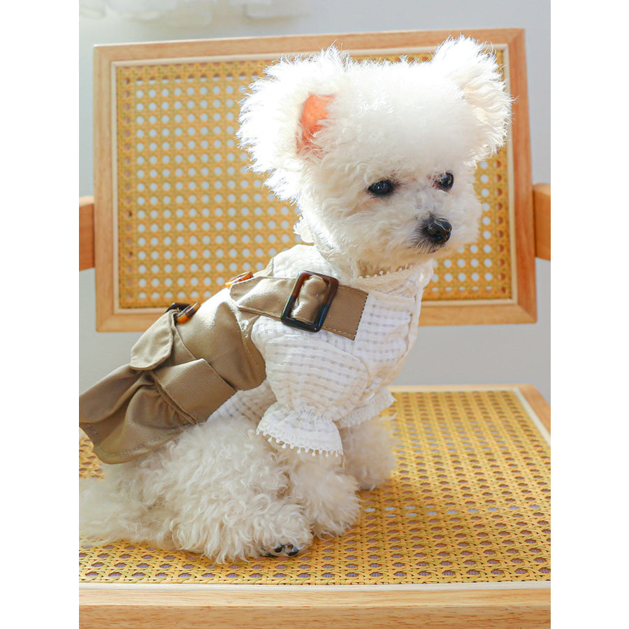 Buckle Pet Trench Coat Khaki Button Dress / XS Apparel and Accessories