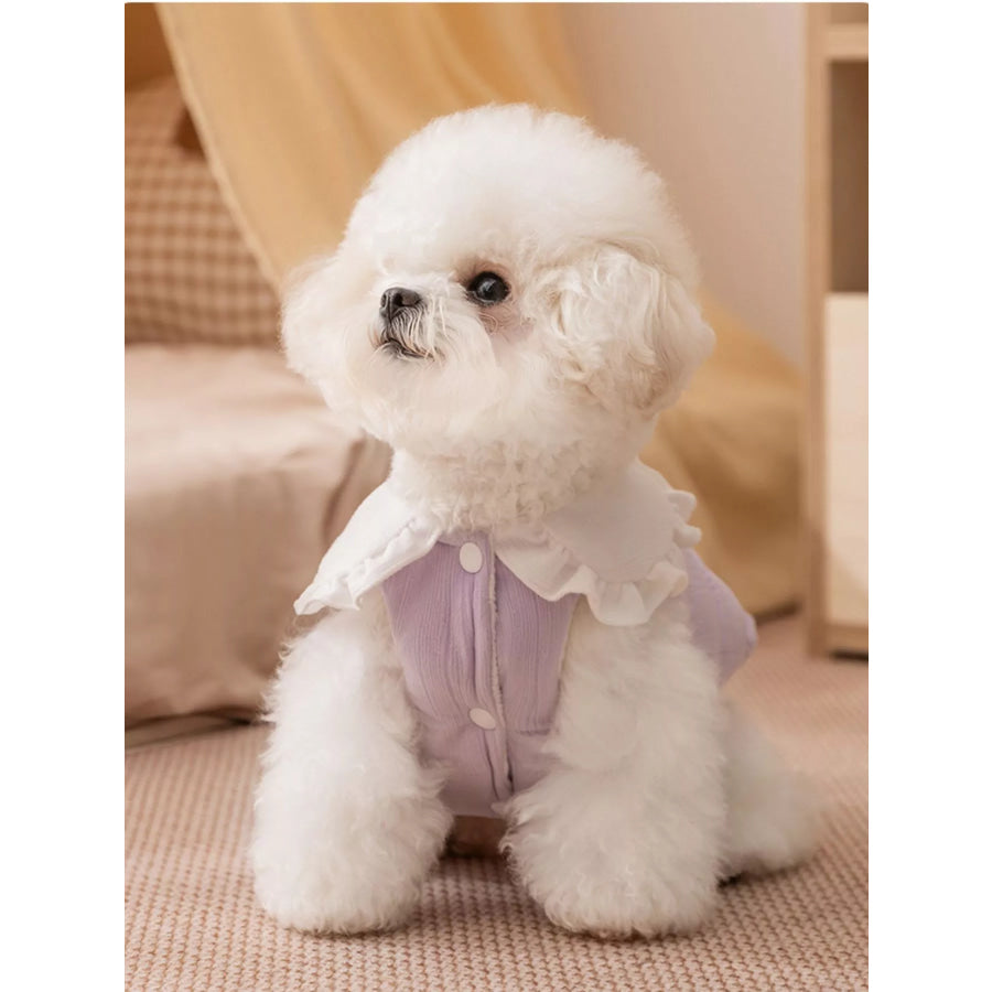 Button-Down Pet Jumpsuit with Ruffle Collar Serene Purple / XS Apparel and Accessories