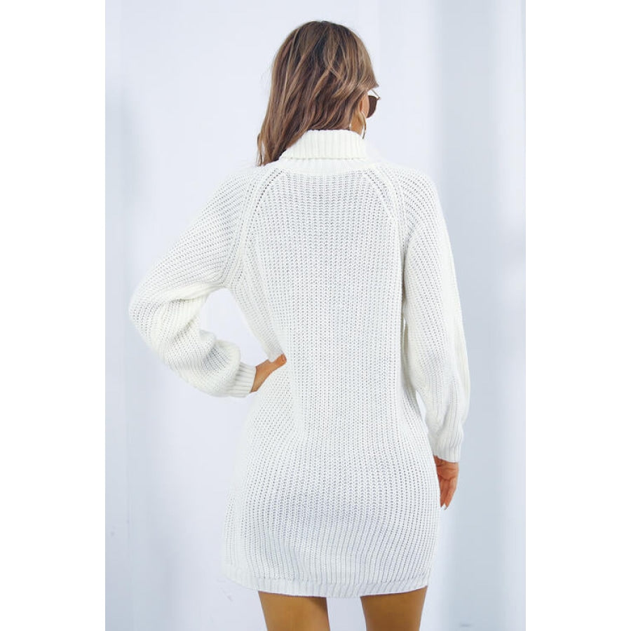 Buttoned Turtleneck Long Sleeve Sweater Dress Clothing