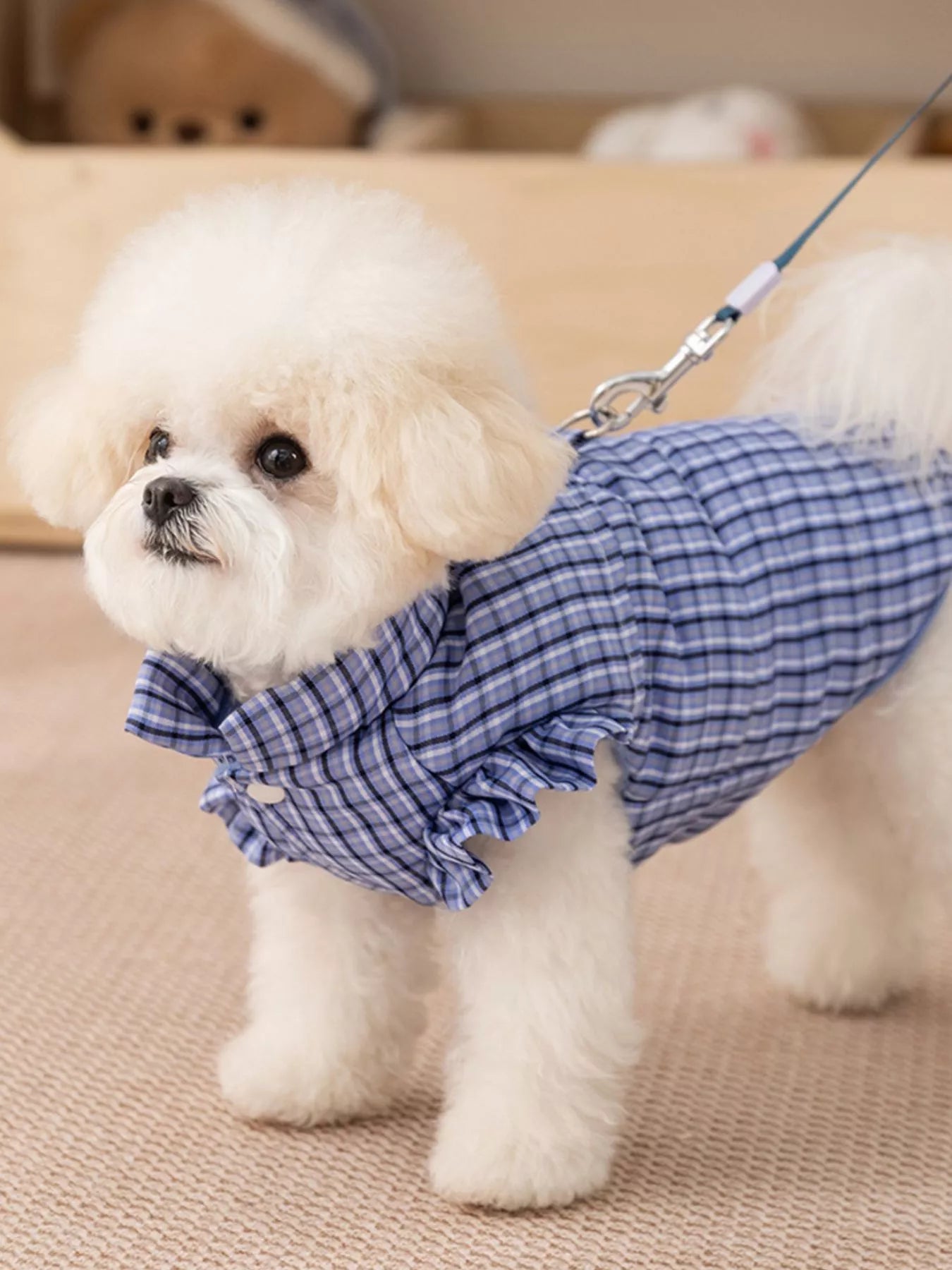 73c00de0-a408-4787-9fa2-6e37c48097bd-Max-Origin