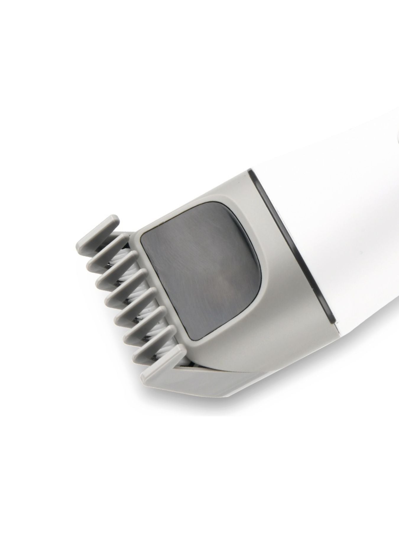 ddce204f-e791-4a65-bd0c-6fb24fbe14eb-Max