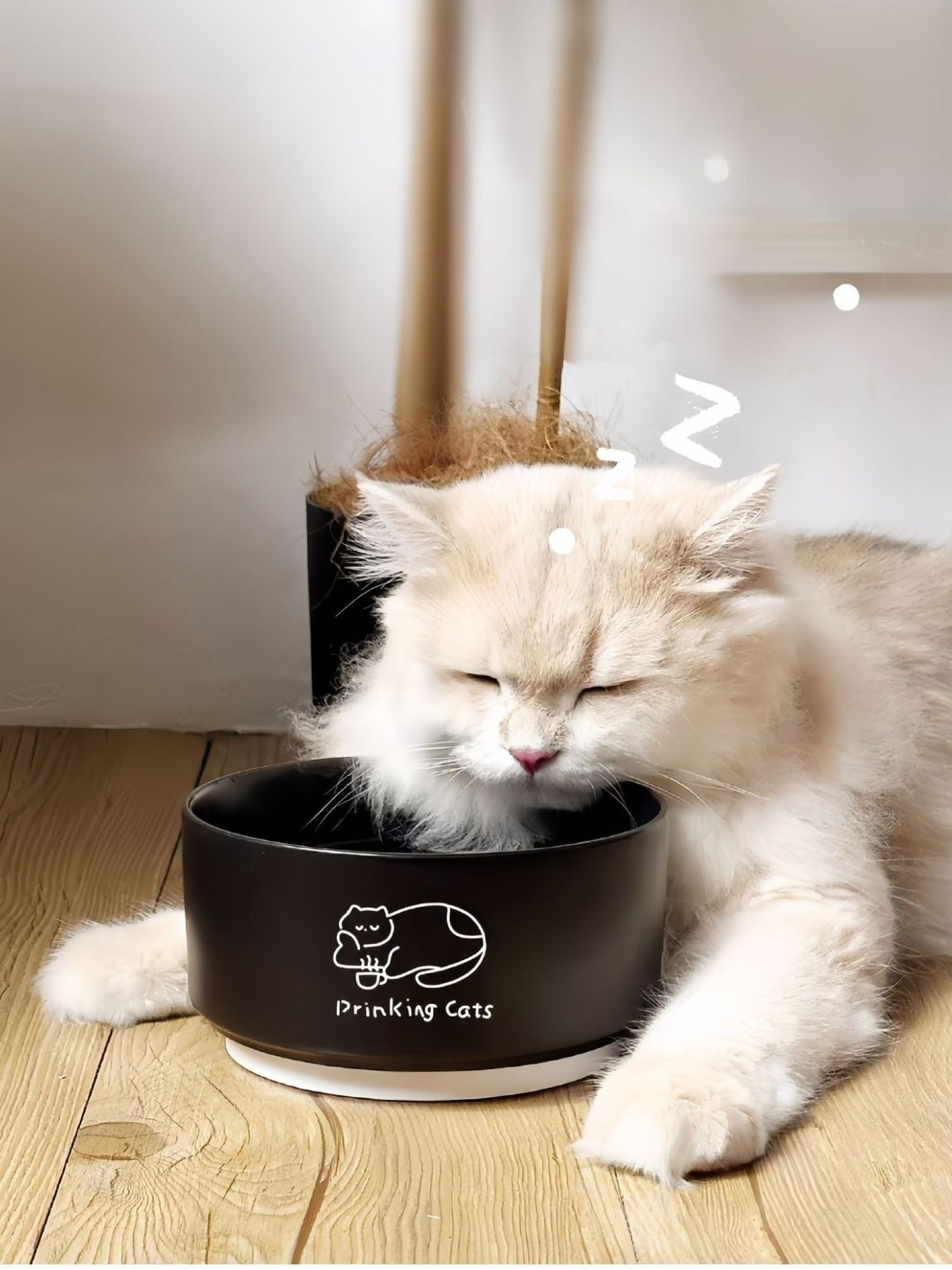 15201781-818d-43ba-9240-6f08fee27b2f-Max