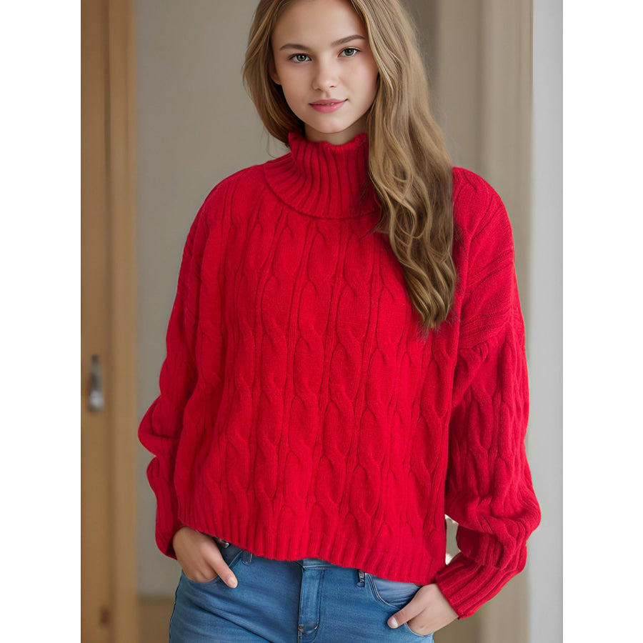 Cable-Knit Turtleneck Long Sleeve Sweater Apparel and Accessories