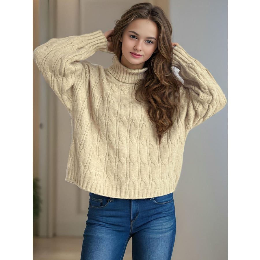 Cable-Knit Turtleneck Long Sleeve Sweater Apparel and Accessories