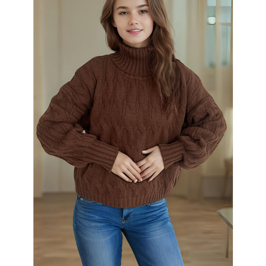 Cable-Knit Turtleneck Long Sleeve Sweater Chocolate / One Size Apparel and Accessories