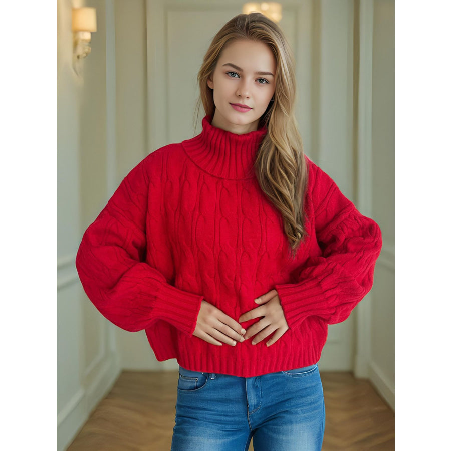 Cable-Knit Turtleneck Long Sleeve Sweater Scarlet / One Size Apparel and Accessories