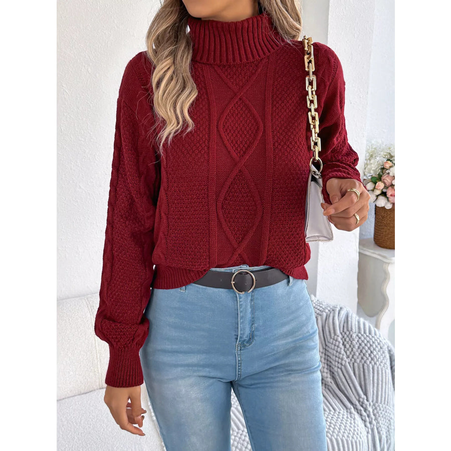 Cable Knit Turtleneck Sweater Apparel and Accessories