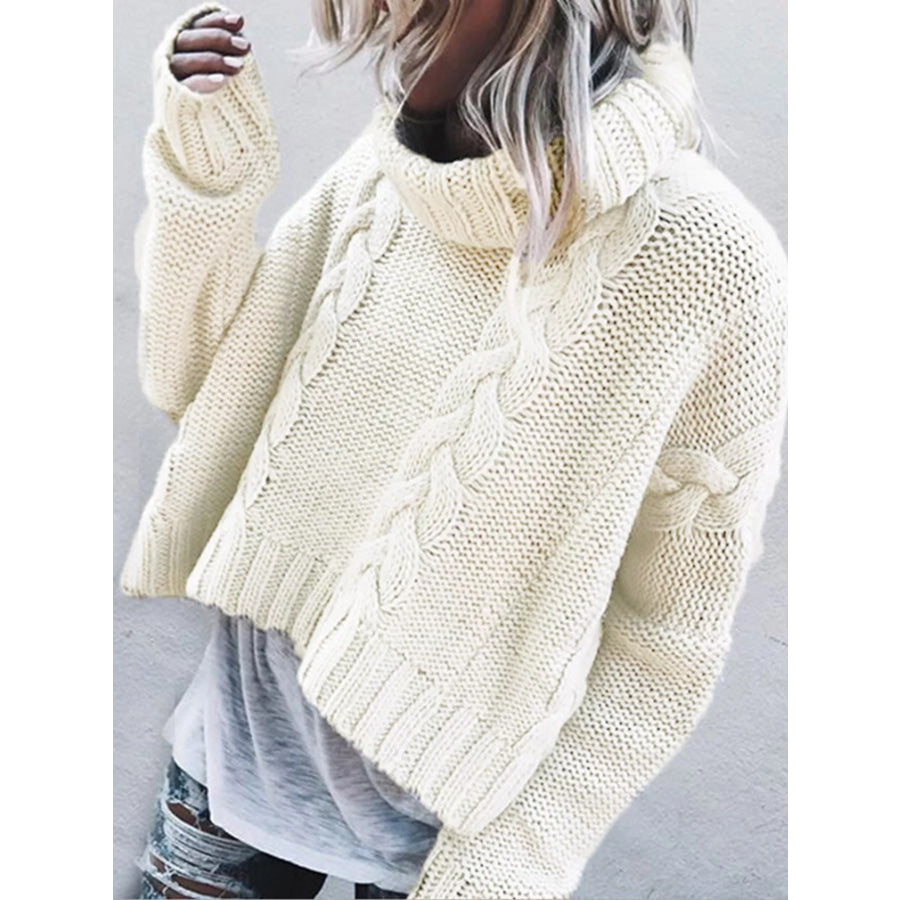 Cable-Knit Turtleneck Sweater Rice White / S Apparel and Accessories