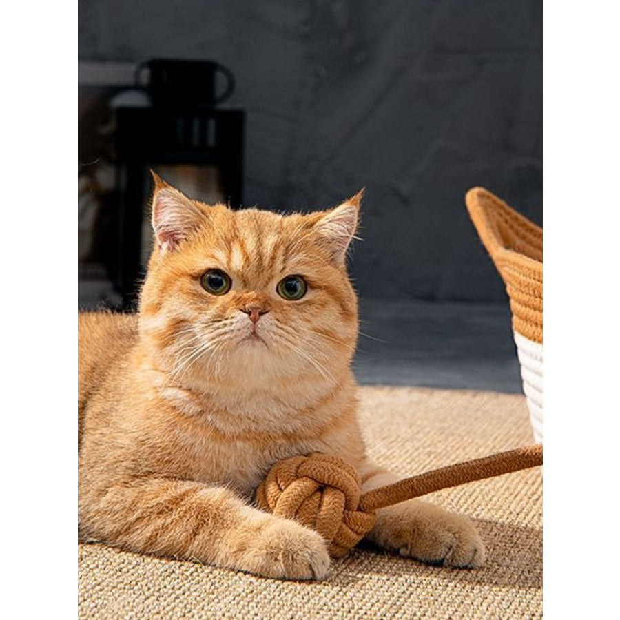 Cat Ear Woven Pet Nest Apparel and Accessories