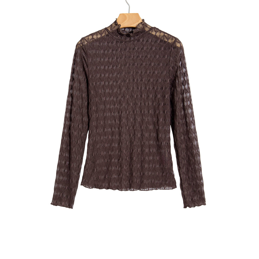 Chicory Coffee Sheer Textured Lace Stand Neck Long Sleeve Top Tops/Long Sleeve Tops