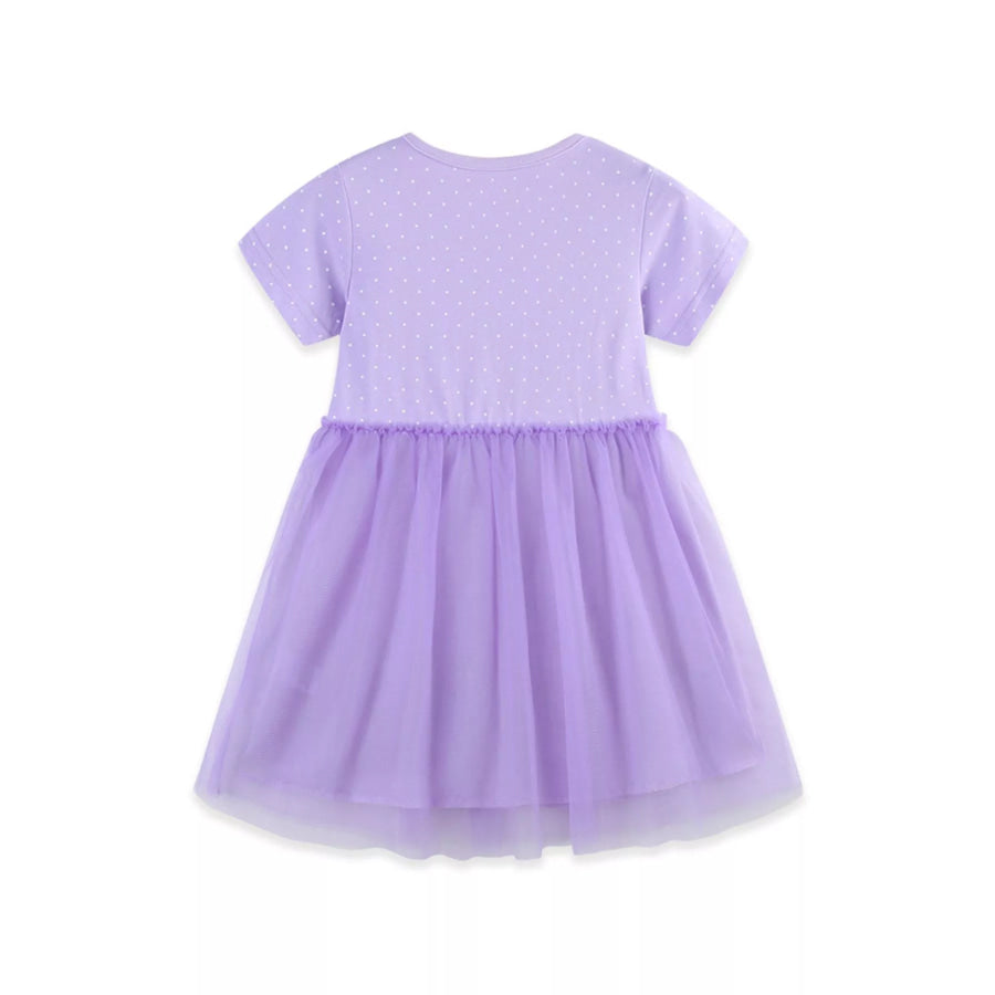 Children’s Ballet Dancer Embroidered Tulle Dress Apparel and Accessories