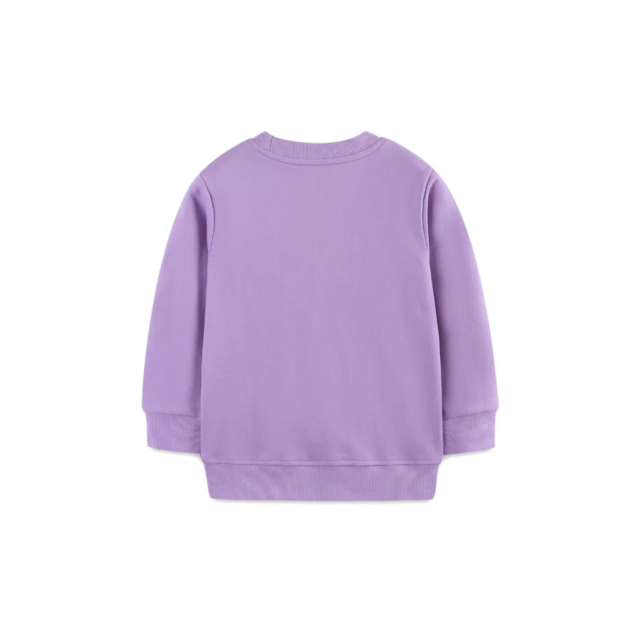 Children’s Dinosaur Graphic Round Neck Sweatshirt Apparel and Accessories