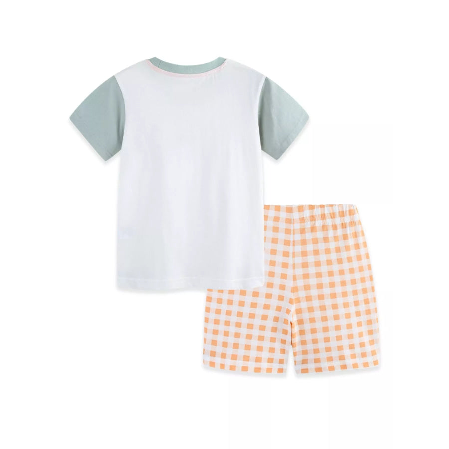 Children’s Dinosaur Short Sleeve Tee and Shorts Set Apparel and Accessories